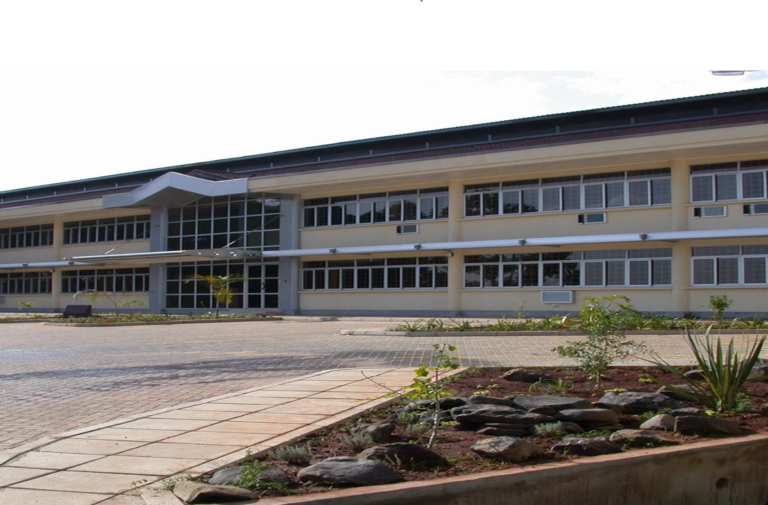 image 65